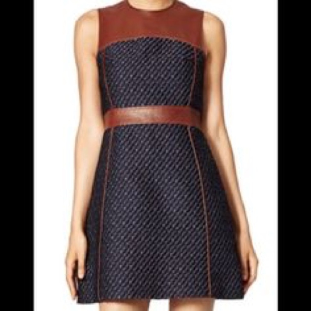 Theory Dress